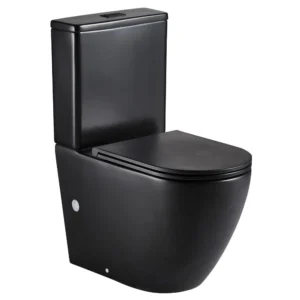  Fienza Aluca Back To Wall Toilet Suite - Black